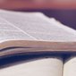 leitura dinamica leitura dinamica